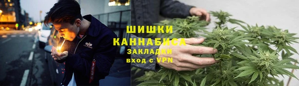 ГАЛЛЮЦИНОГЕННЫЕ ГРИБЫ Баксан