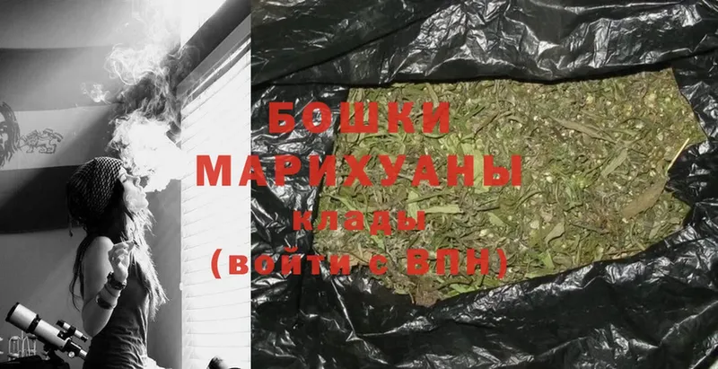 Марихуана семена  блэк спрут онион  Вязники 